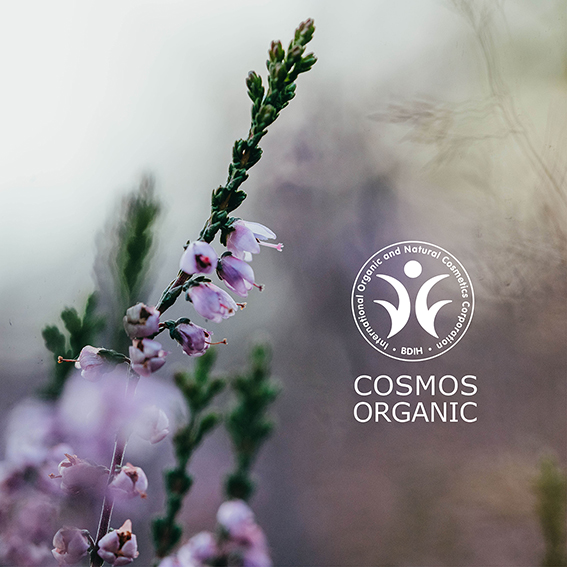 Trawenmoor Siegel Cosmos Organic