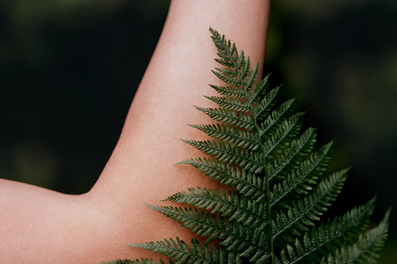 Moorpflanze auf Unterarm